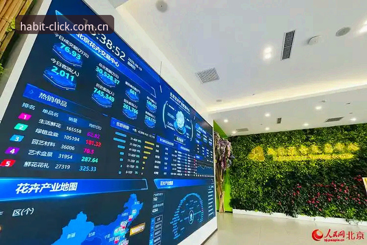 每天习惯点开的地方数据中心，你真的会用吗？三个误区让你数据白查